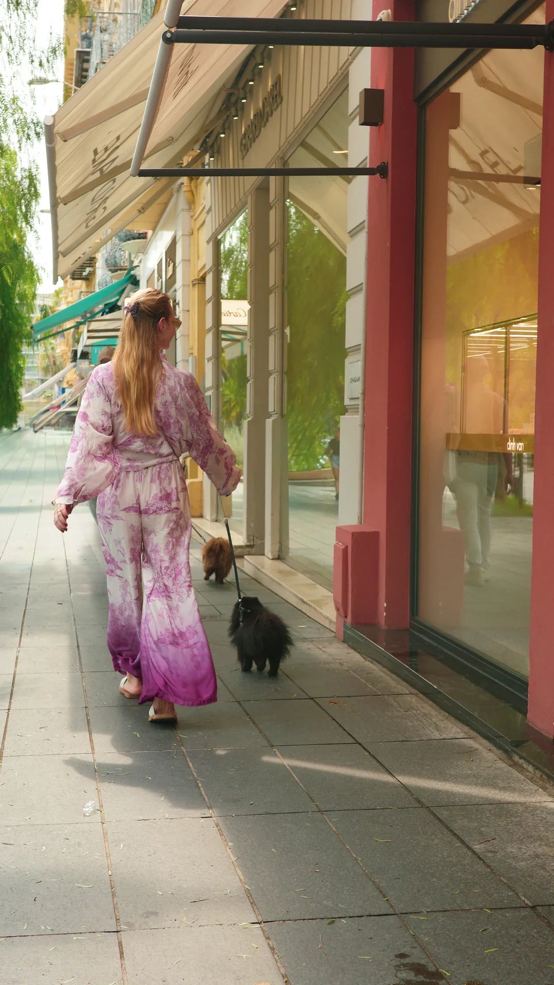 The Importance of Routine in Your Dog's Life